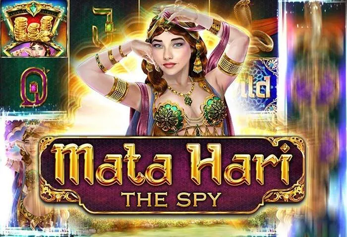 Fast Hitnspin Casino Bonus Registration Requirements process.
