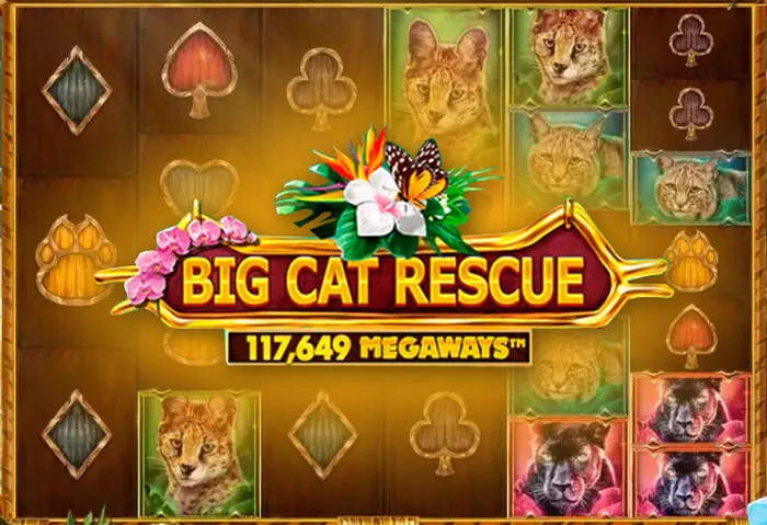 Codice promozionale esclusivo Hitnspin Casino Danimarca per nuovi giocatori