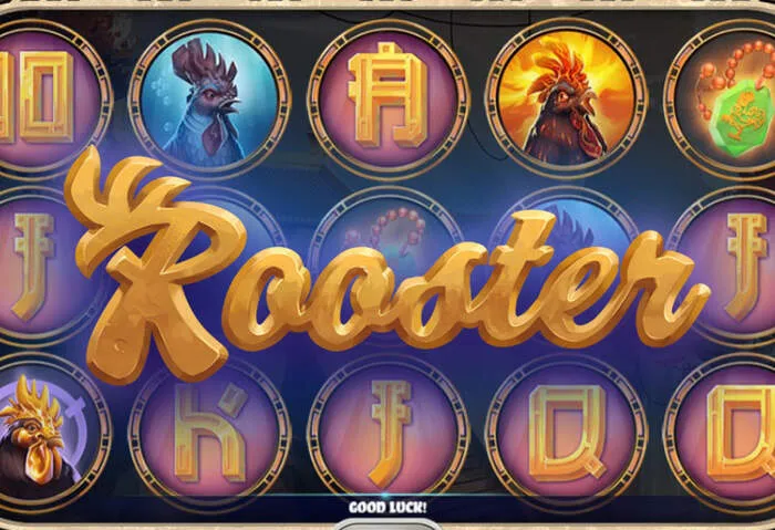 Scopri il Codice Senza Deposito e Offerte di Giri Gratuiti Hitnspin Casino.